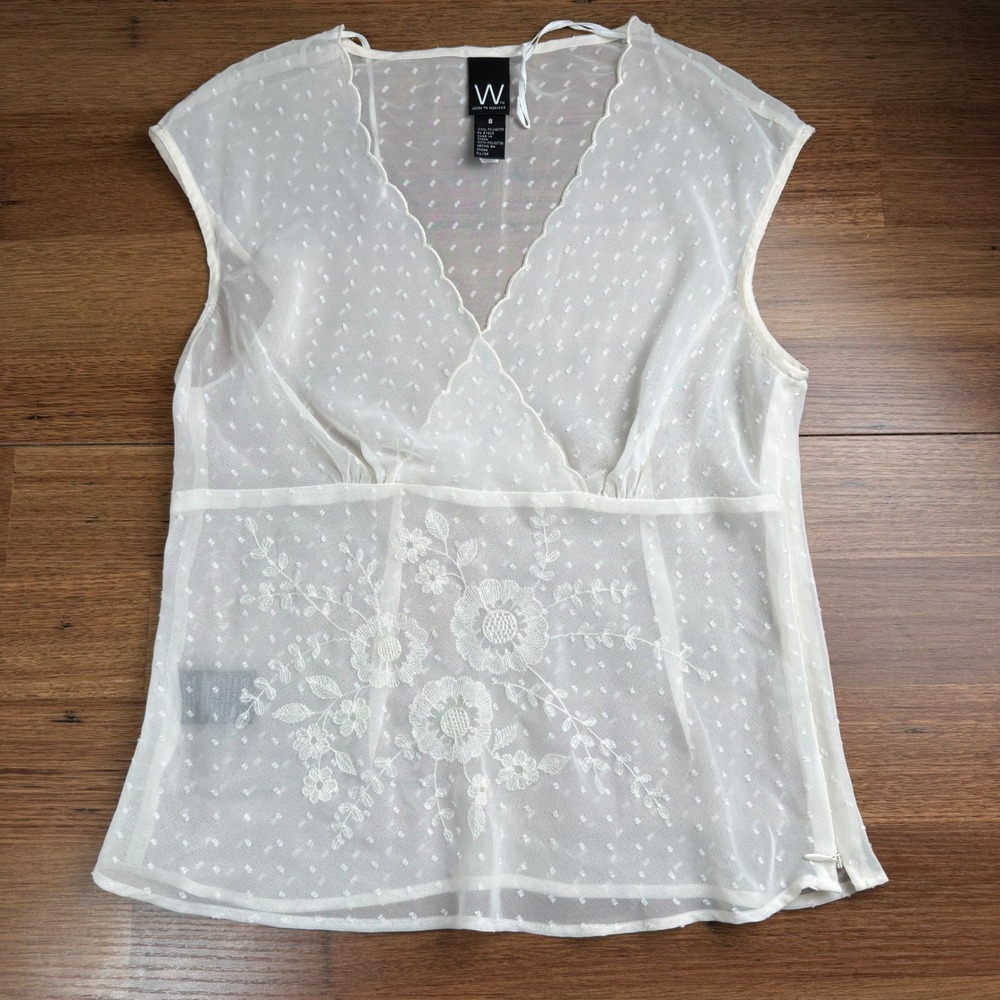 Vintage Coquette Fairycore Cream Sheer Embroidered Point Desprit V-Neck Top 8